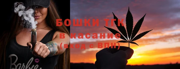 тгк Алексин