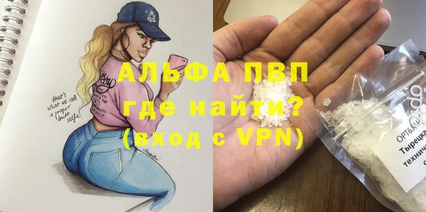 крисы Алзамай