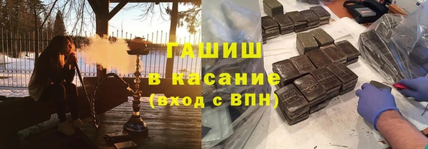 крисы Алзамай