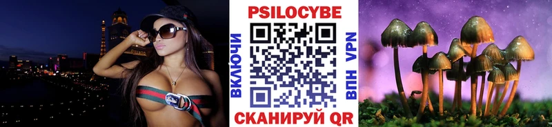 Псилоцибиновые грибы GOLDEN TEACHER  Купить где  Суворов 